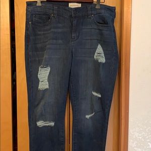 Molly & Isadora Jeans Sz 14W